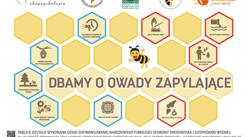 Tablice KIL_ 2_.png, Działania na rzecz  kontynuacji i rozwoju tradycji pszczelarstwa  na  terenie Gminy Zakliczyn